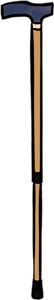 杖