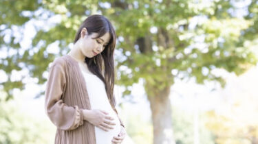 妊娠中の医療保険について